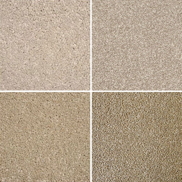 Primo Ultra Carpet Clearance