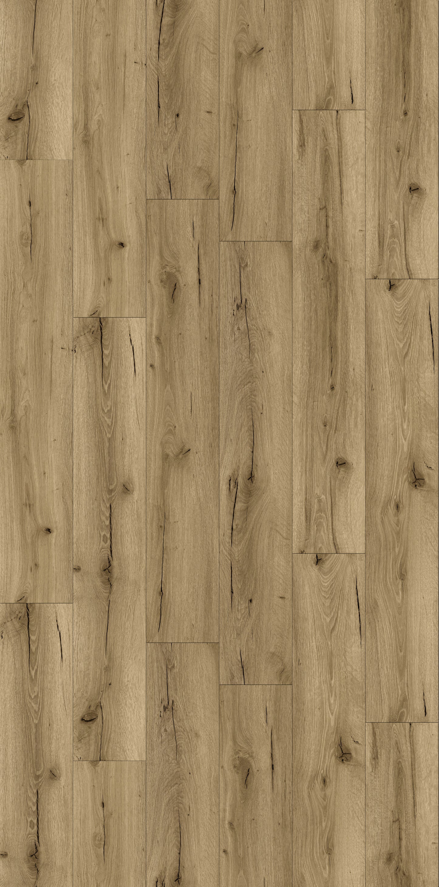 Albany Oak 12mm Laminate