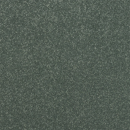 Abingdon Stainfree Maximus