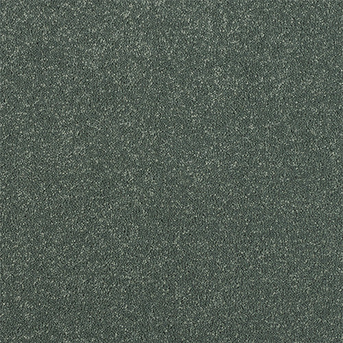 Abingdon Stainfree Maximus