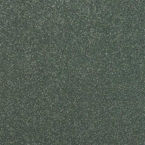 Abingdon Stainfree Maximus