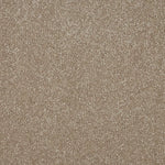 Cambrian Stone
