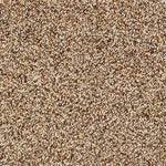 Cinnamon