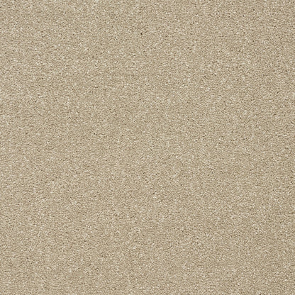 Abingdon Stainfree Twist