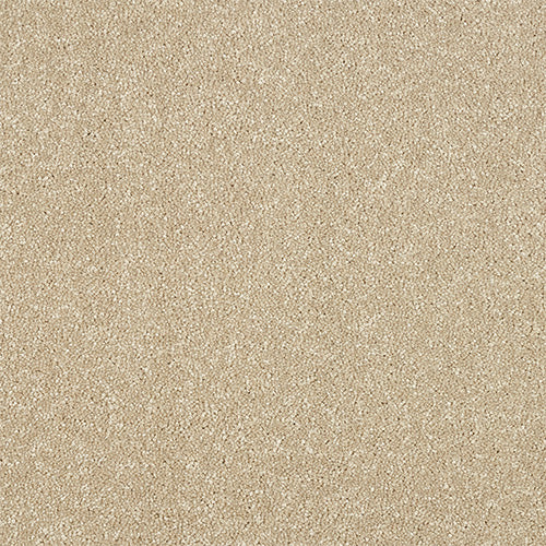 Abingdon Stainfree Maximus