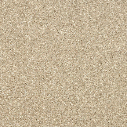 Abingdon Stainfree Maximus