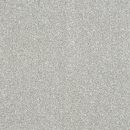 Abingdon Stainfree Maximus