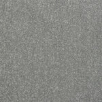 Frosted Steel