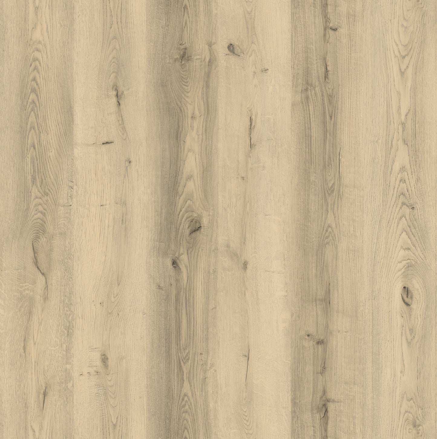 Greige Oak 12mm Laminate