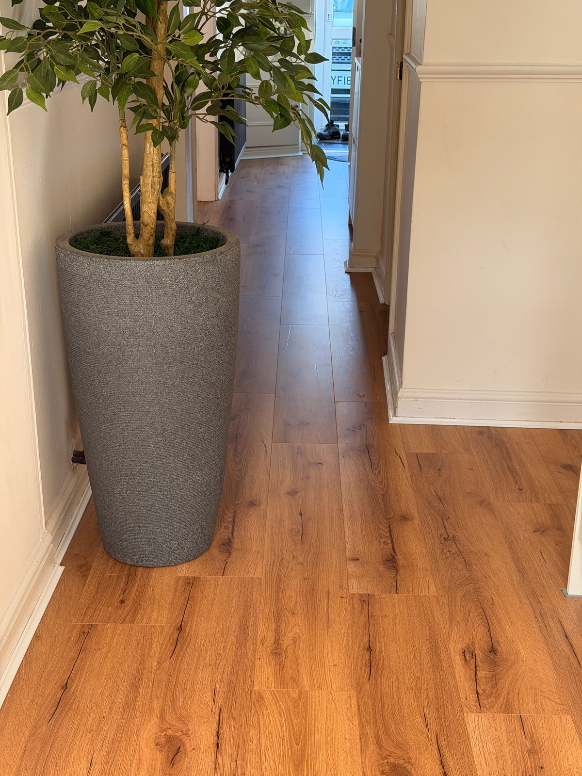 Oak Robust Fumed 12mm Laminate