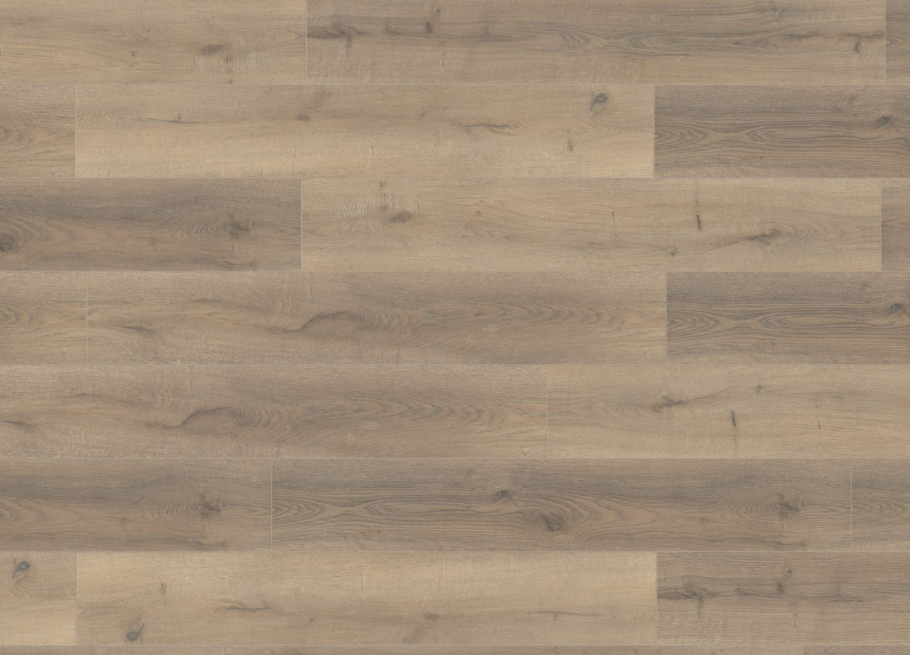 Greige Oak 12mm Laminate