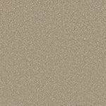 Monterey Sand