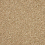 Sandbank