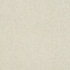 Abingdon Stainfree Maximus