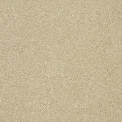 Abingdon Stainfree Twist