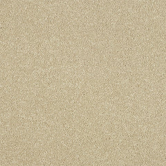 Abingdon Stainfree Maximus