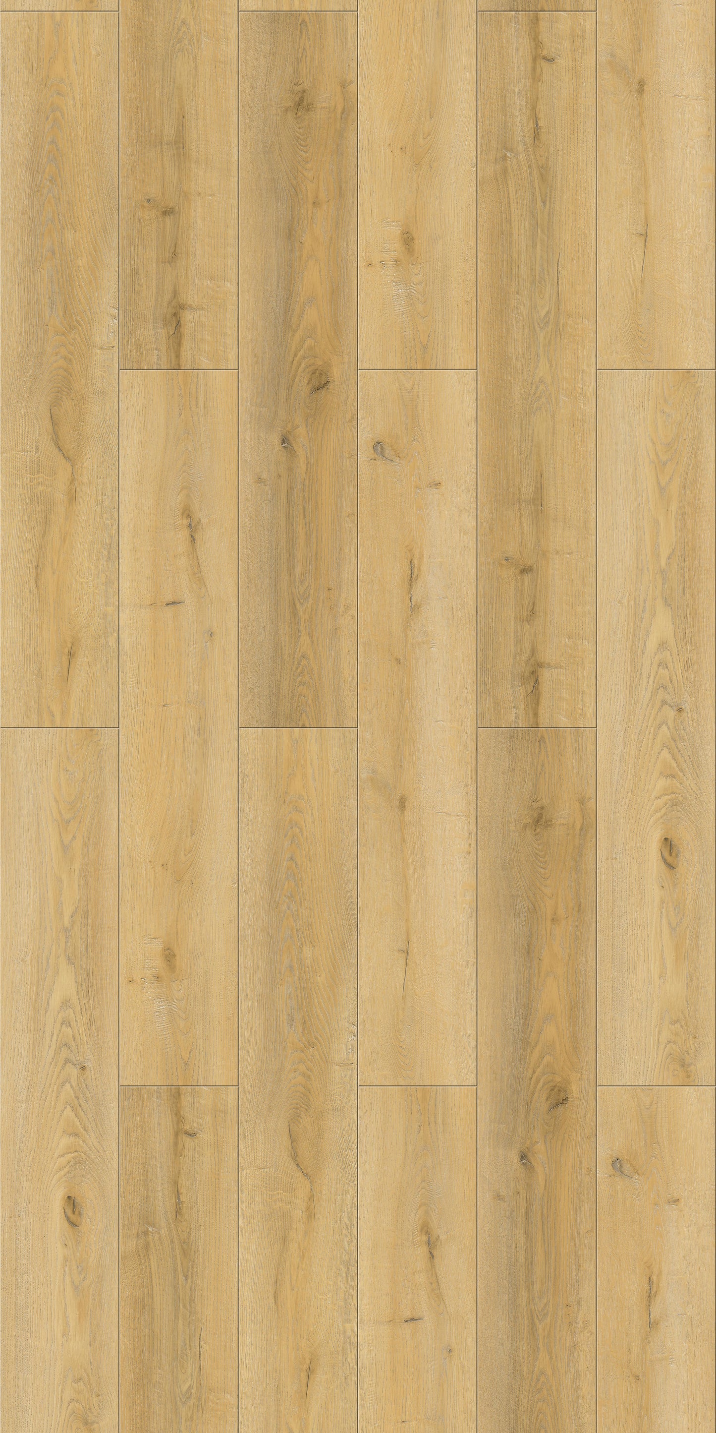 Warren Oak 12mm Laminate