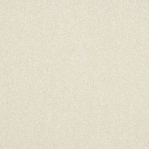 Abingdon Stainfree Maximus